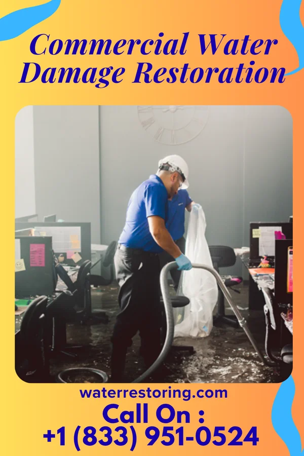 Commercial Water Damage Restoration in Cherryvale, SC