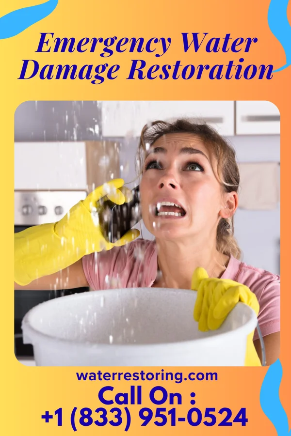 Emergency Water Damage Restoration in Cherryvale, SC