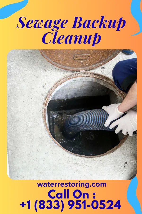 Sewage Backup Cleanup in Cherryvale, SC